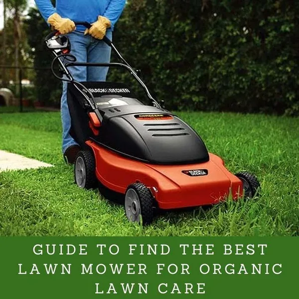 Featured image - Guide to Find the Best Lawn Mower for Organic Lawn Care
