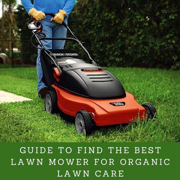 Guide to Find the Best Lawn Mower for Organic Lawn Care image - Guide to Find the Best Lawn Mower for Organic Lawn Care