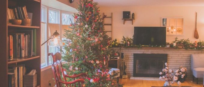 Caring for Your Living Christmas Tree After the Holidays