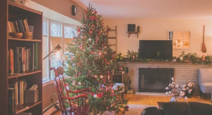 Caring for Your Living Christmas Tree After the Holidays