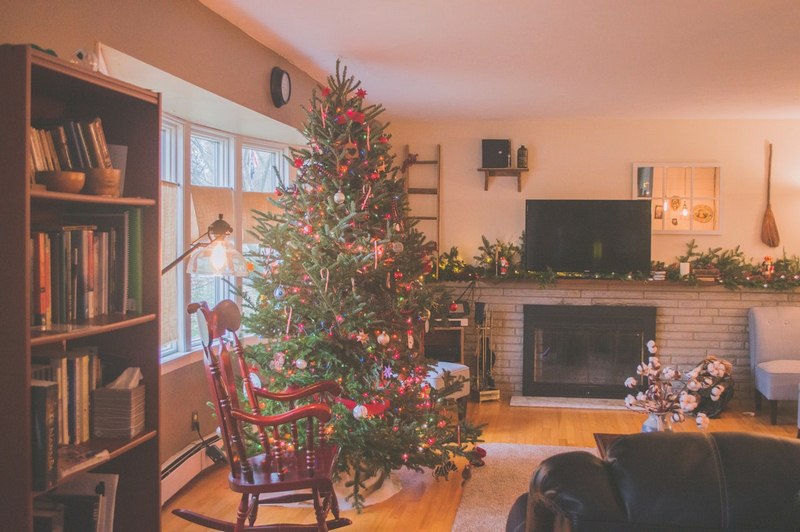 Caring for Your Living Christmas Tree After the Holidays image - Caring for Your Living Christmas Tree After the Holidays