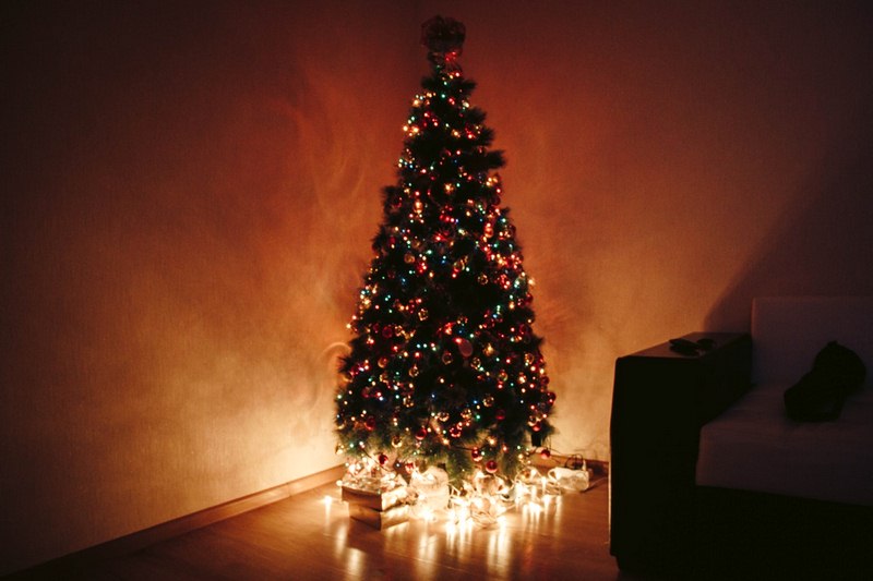 5 Tips to Choose the Perfect Christmas Tree This Year image - 5 Tips to Choose the Perfect Christmas Tree This Year