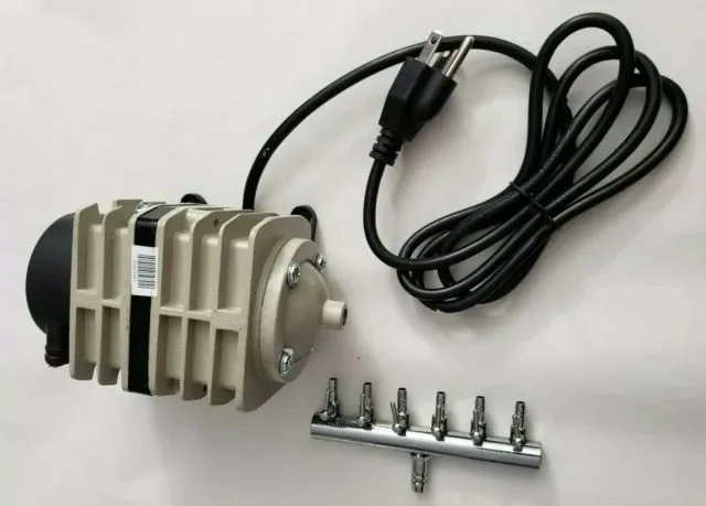 Featured image - How You Can Choose the Best Hydroponic Air and Water Pump