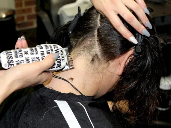 Featured image - Here a Great Barber Clippers List for You