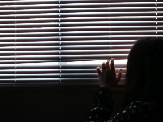 Featured image - How to Select the Color of Window Blinds