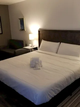 Featured image - Get the Right Bedding At Cheap Rates