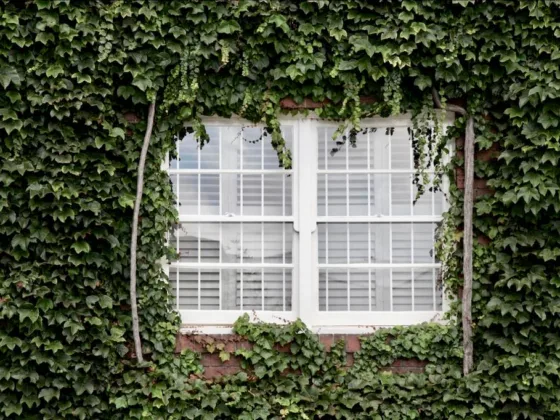 Featured image - Points to Know Before Installing Blinds in Your Calabasas Home