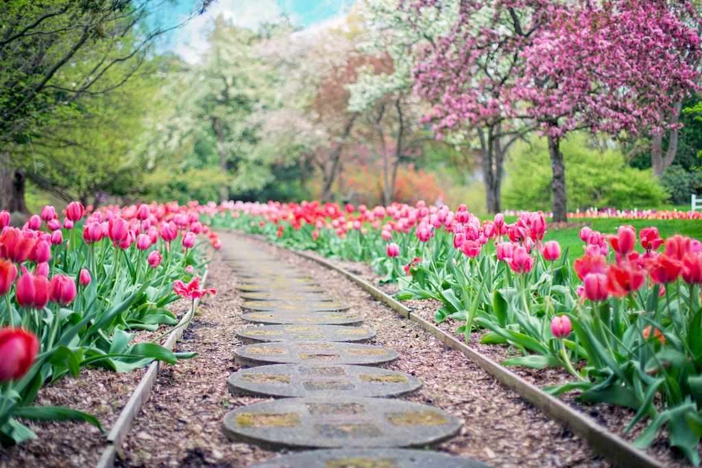 Simple Ways to Create a Stunning Enchanted Garden image - Simple Ways to Create a Stunning Enchanted Garden
