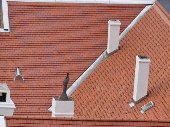 Featured image - Homeowners Guide to Extending Your Roof's Lifespan