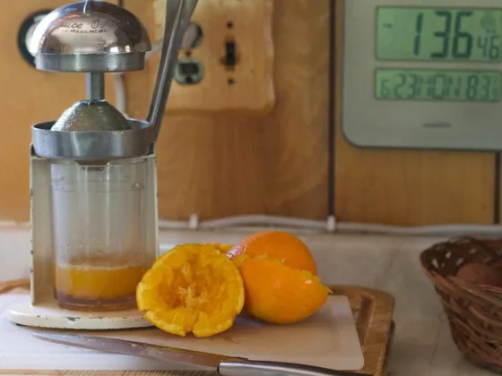 Featured image - What to Look for When Purchasing the Best Citrus Juicer