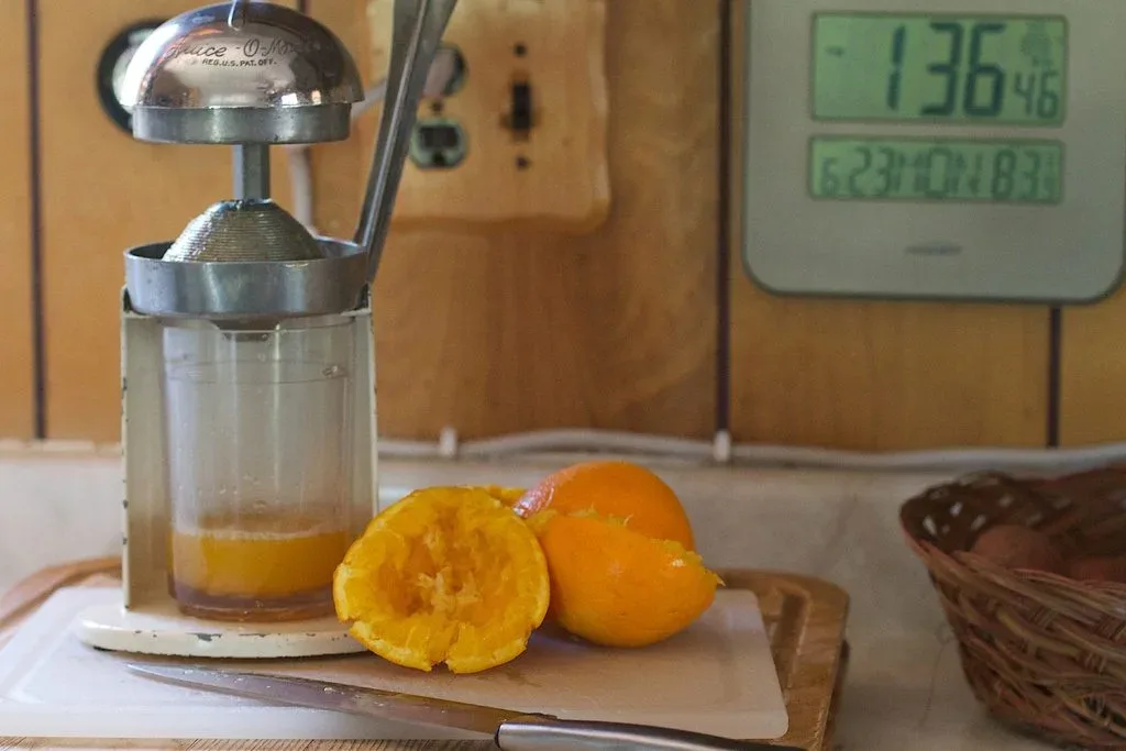 Featured image - What to Look for When Purchasing the Best Citrus Juicer