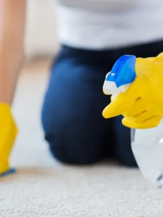 Featured image - Carpet Cleaning Hacks That Will Save Your Time and Money