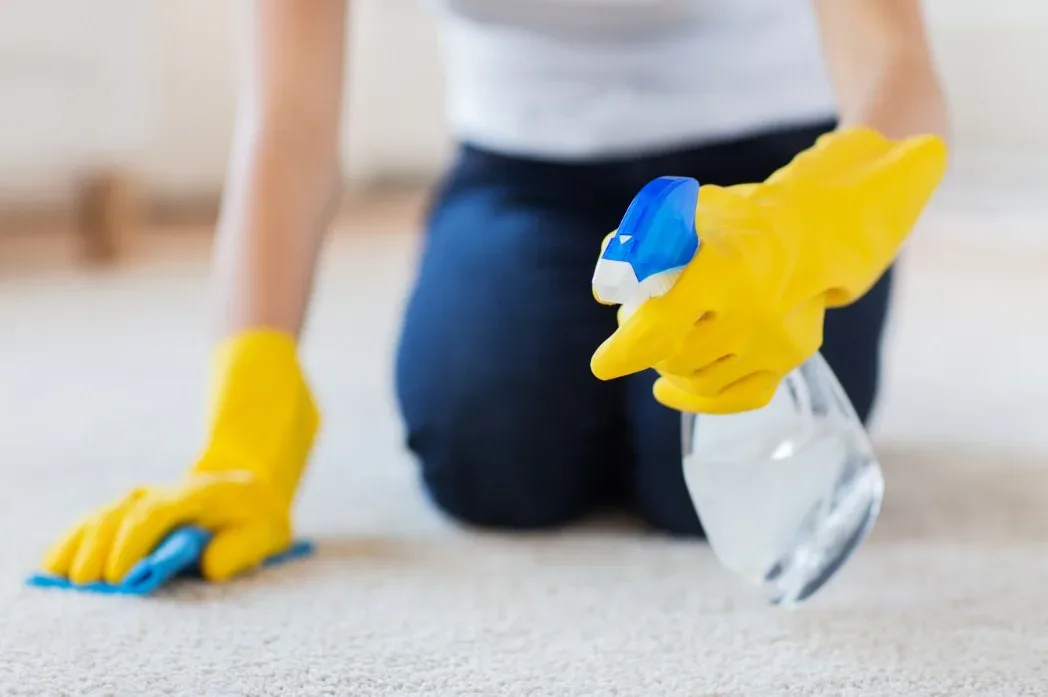 Featured image - Carpet Cleaning Hacks That Will Save Your Time and Money