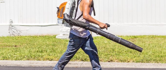 How to Clean Lawn with Commercial Backpack Blower