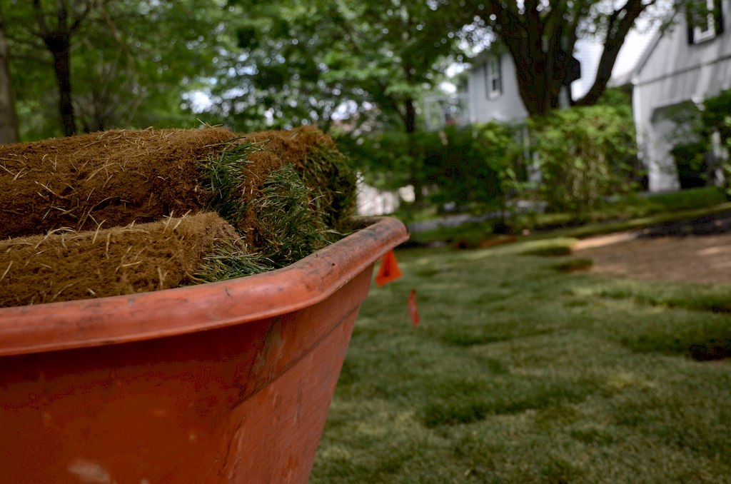 3 Simple Ways for Taking Care of Your Garden Sod image - 3 Simple Ways for Taking Care of Your Garden Sod