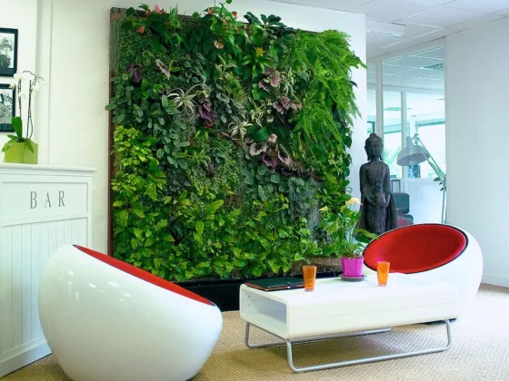 Featured image - Vertical Gardens and Human Health: How Are They Related?