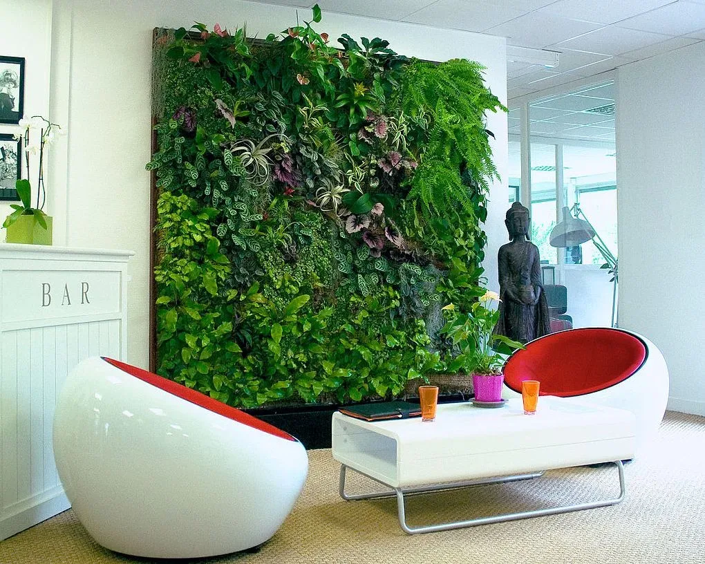 Featured image - Vertical Gardens and Human Health: How Are They Related?