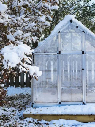 Featured image - 5 Reasons You Should Have an Aluminium Greenhouse in Your Backyard