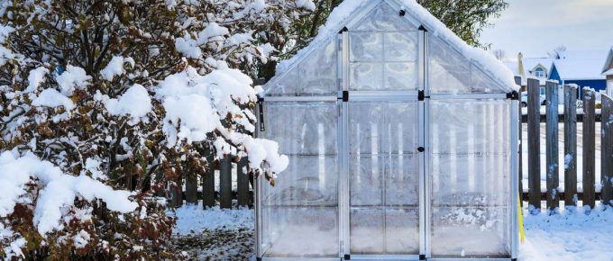 5 Reasons You Should Have an Aluminium Greenhouse in Your Backyard