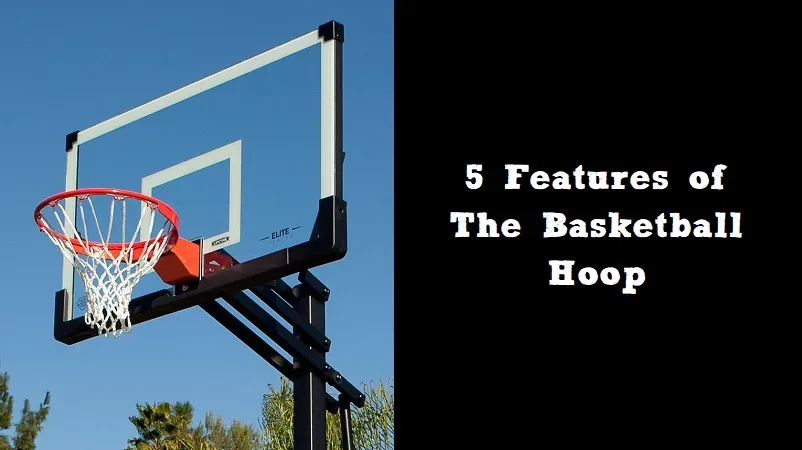 Featured image - 5 Features of The Basketball Hoop