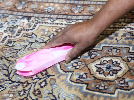 Featured image - How to Use Carpet Cleaner