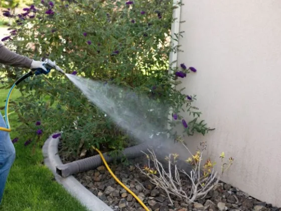 Featured image - All You Need to Know About Pest Control