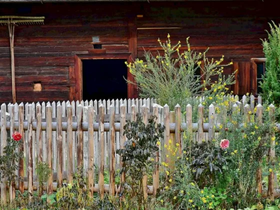 Featured image - Garden Fences