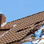 Featured image - Things That Can Damage Your Roof