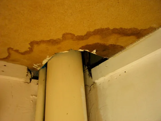 Featured image - What to Do After Water Leak Has Been Detected