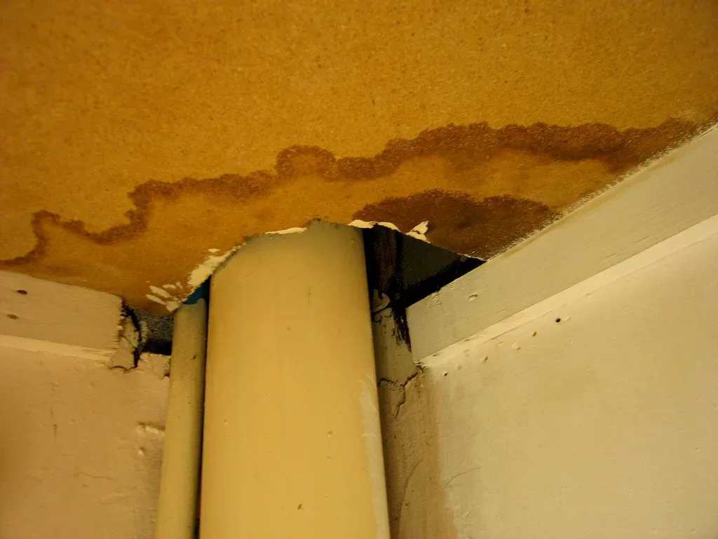 Featured image - What to Do After Water Leak Has Been Detected