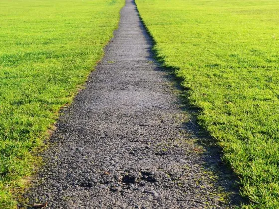 Featured image - 5 Tips for Using Your String Trimmer