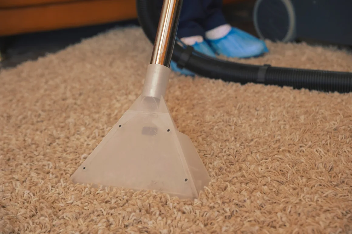 Featured image - What to Look for in a Carpet Cleaning Company