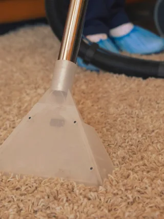 Featured image - What to Look for in a Carpet Cleaning Company