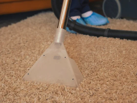 Featured image - What to Look for in a Carpet Cleaning Company