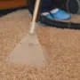 Featured image - What to Look for in a Carpet Cleaning Company