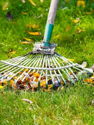 Feaured image - 10 Crucial Lawn Care Tasks for Fall