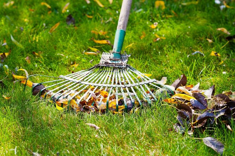 10 Crucial Lawn Care Tasks for Fall
