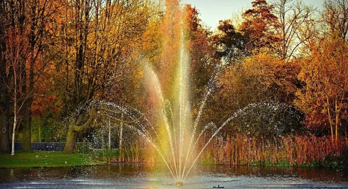 5 Top Benefits of Installing Pond Fountains