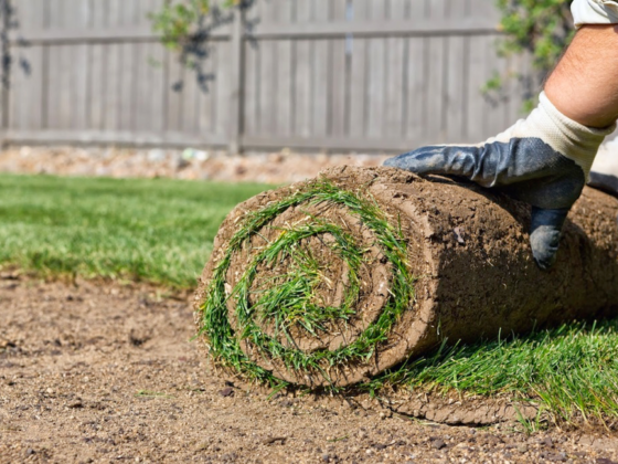 Featured image - 7 Benefits of Sod Lawn Installation With Mr Lawn In Surrey