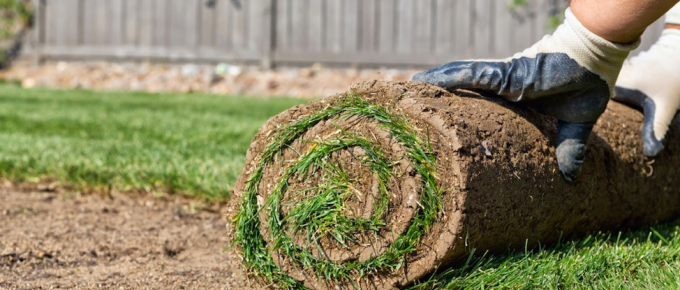 7 Benefits of Sod Lawn Installation With Mr Lawn In Surrey
