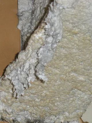Featured image - Asbestos and Its Removal from Homes