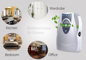 Do Air Purifiers Get Rid of Musty Smells?