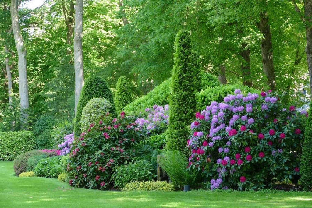 How to Choose the Best Border and Edging Plants for Your Landscape