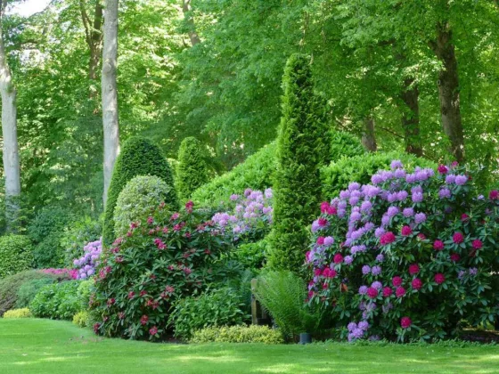 Featured image - How to Choose the Best Border and Edging Plants for Your Landscape
