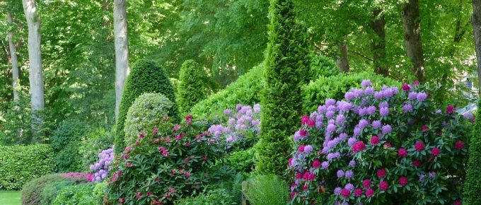 How to Choose the Best Border and Edging Plants for Your Landscape
