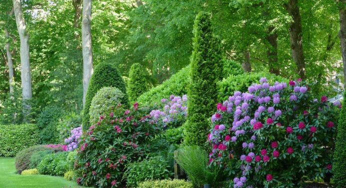 How to Choose the Best Border and Edging Plants for Your Landscape