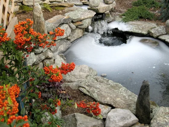 Featured image - How to Get Your Pond Ready for the Cold Season