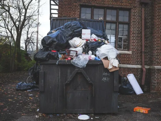 Featured image - Why Use Skip Bins Lake Macquarie