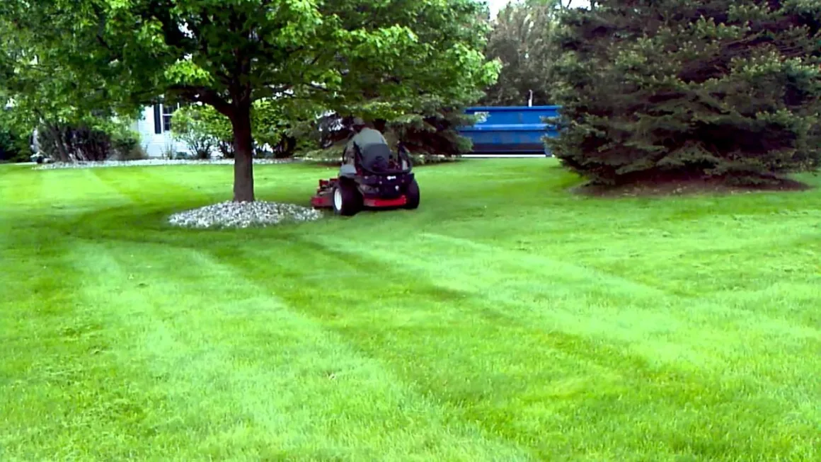 Featured image - Tips about Uncommon Lawn Maintenance Issues