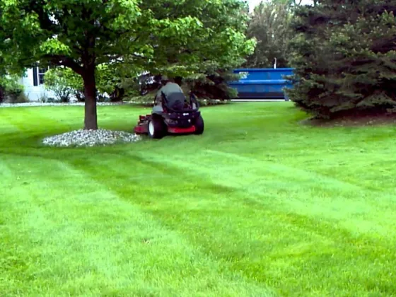 Featured image - Tips about Uncommon Lawn Maintenance Issues